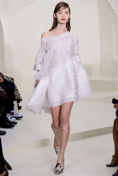 Christian Dior Spring 2014 Couture Fashion Show 